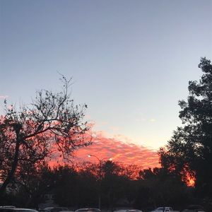 Meet your Posher, Bella